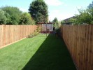 Garden 047